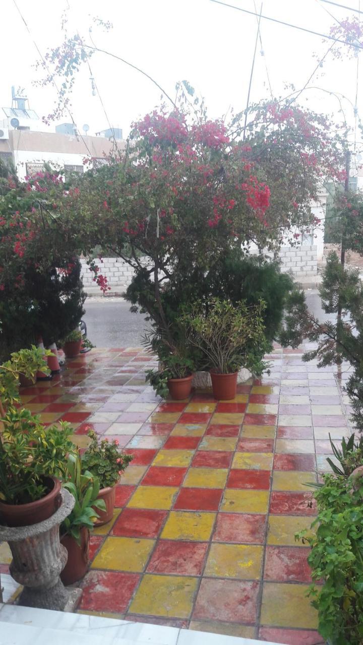 Al Seoudi Furnished Units Apartment Az Zarqa Ngoại thất bức ảnh